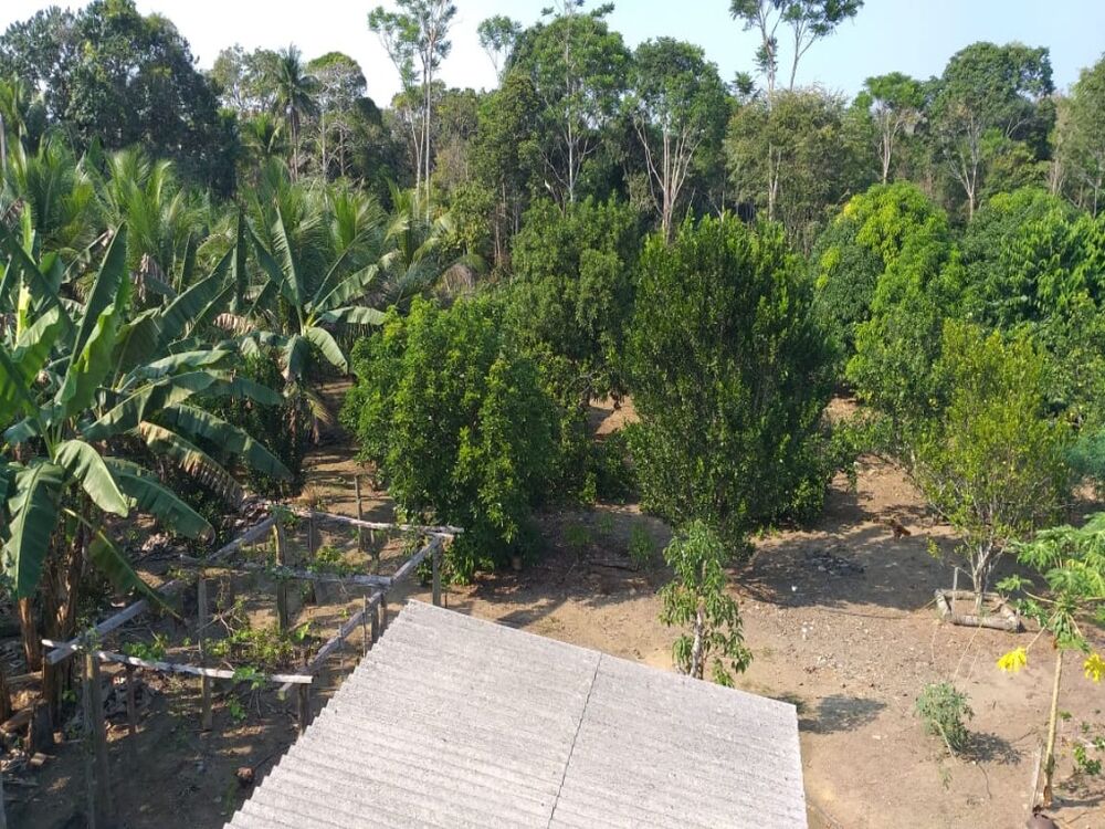 Chácara, 3 quartos, 6700 m² - Foto 3