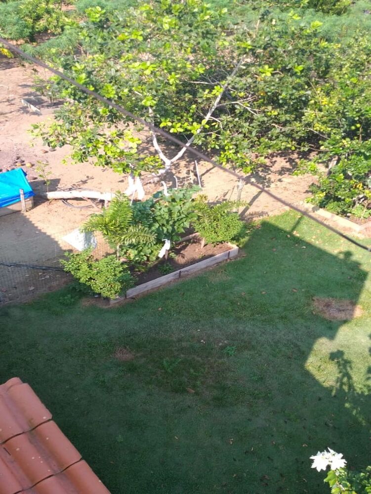 Chácara, 3 quartos, 6700 m² - Foto 9