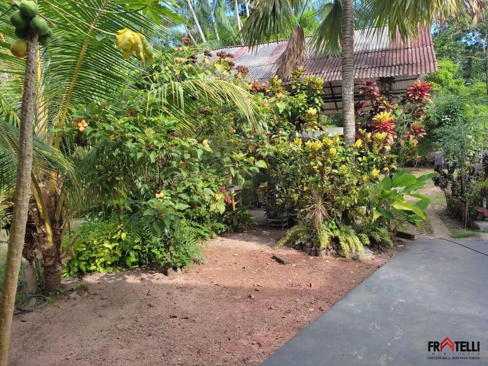 Casa, 4 quartos - Foto 3