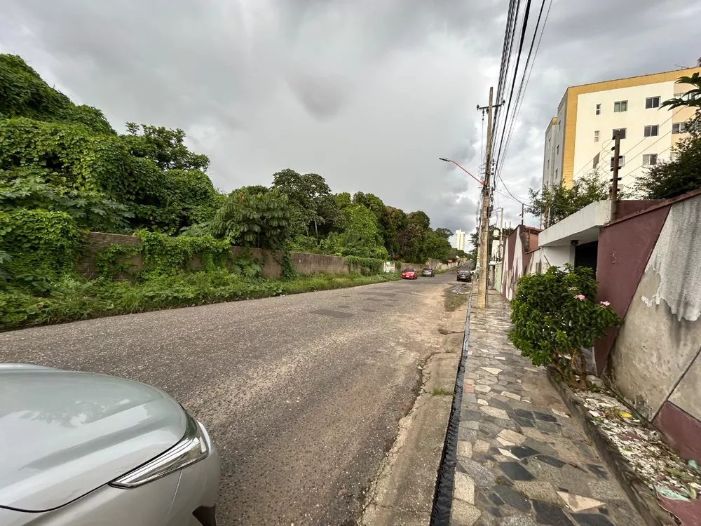 Terreno, 3200 m² - Foto 2