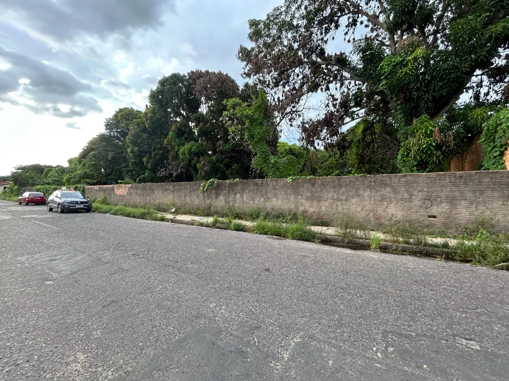 Terreno, 3200 m² - Foto 3