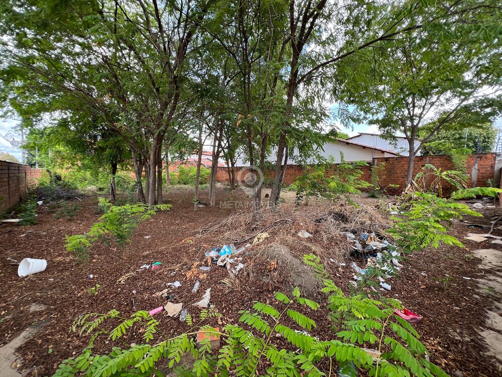 Loteamento e Condomínio - Foto 4