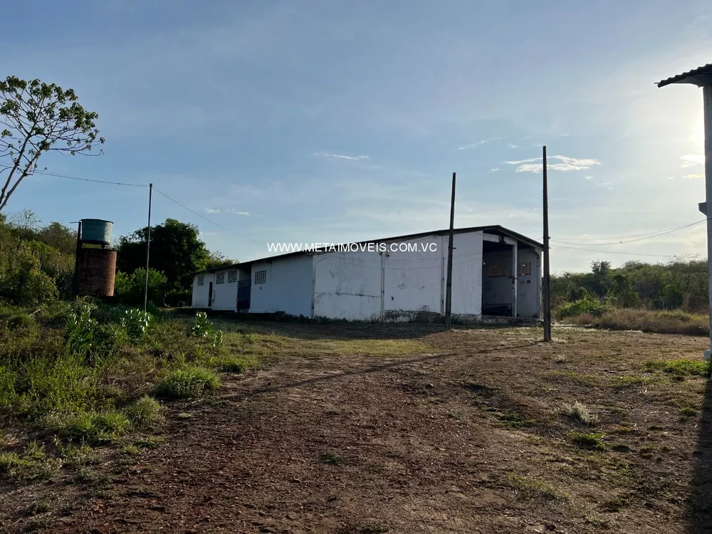 Depósito-Galpão - Foto 2
