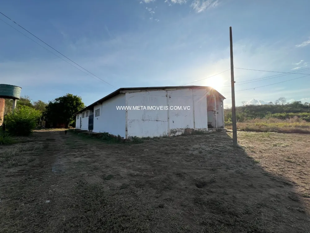 Depósito-Galpão - Foto 9