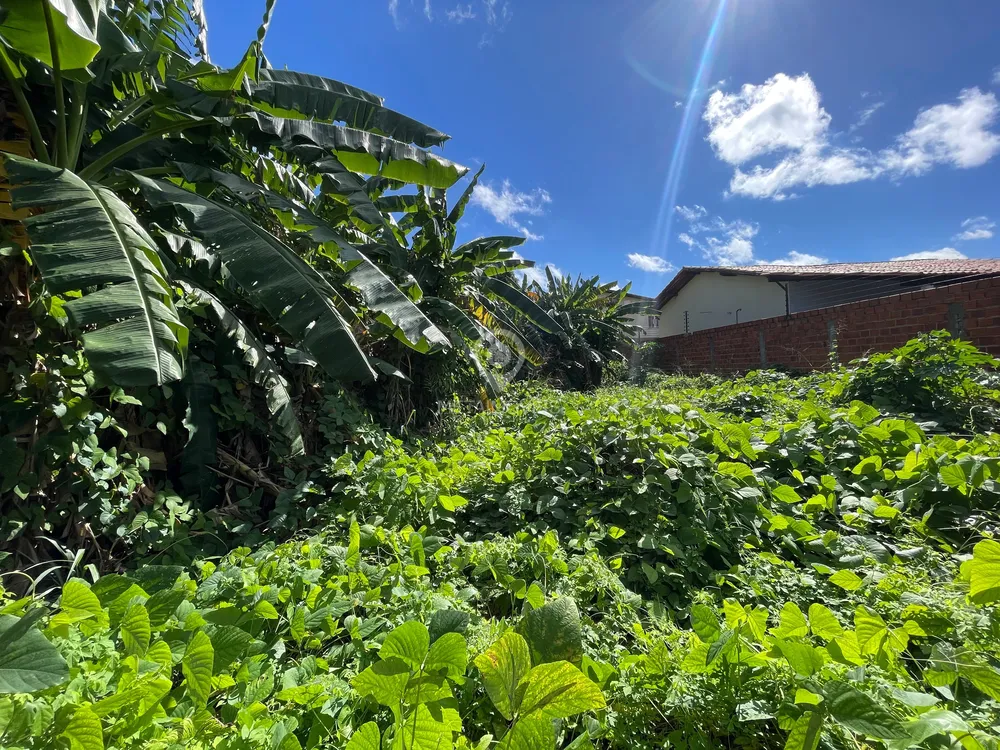 Terreno, 450 m² - Foto 3