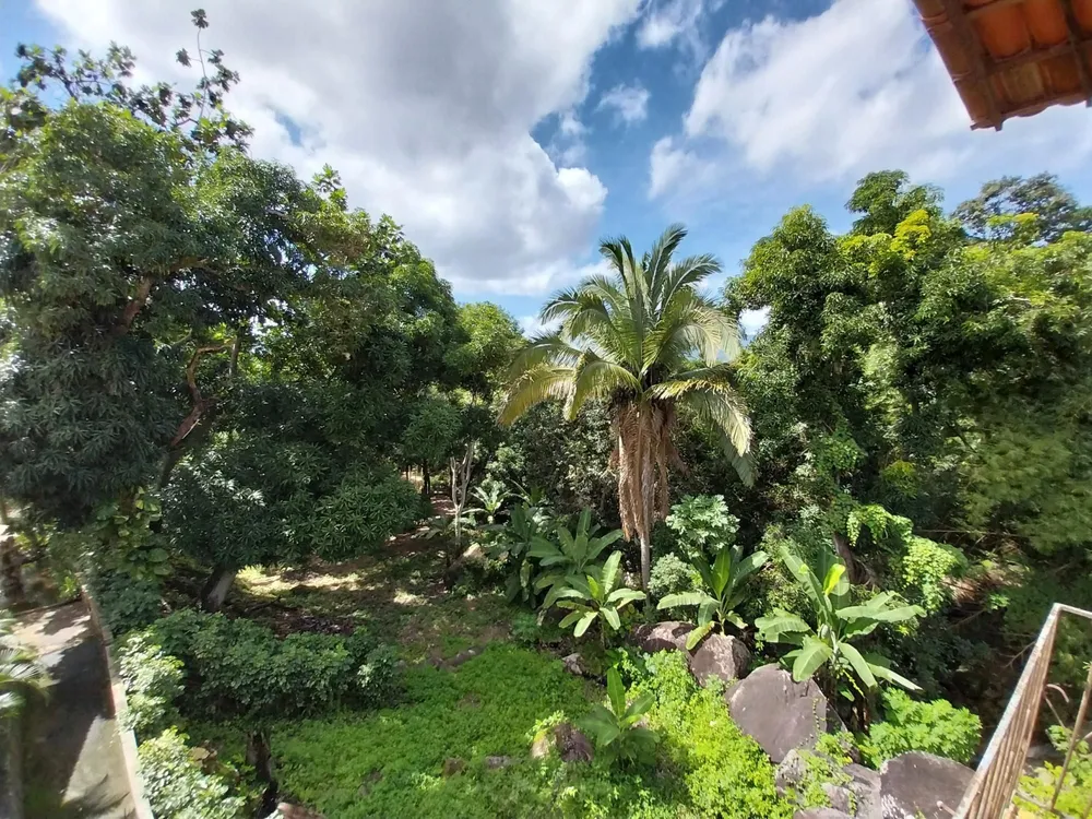Terreno, 2 hectares - Foto 2