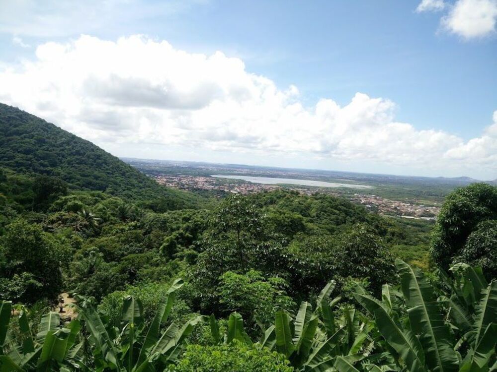 Terreno, 4 hectares - Foto 1