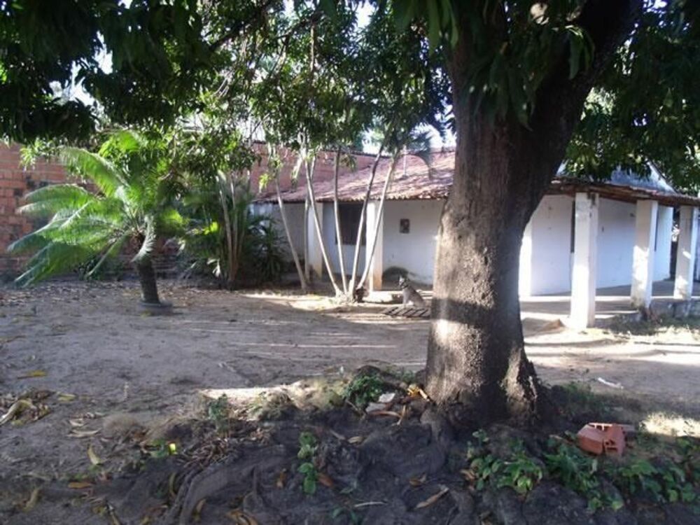 Terreno, 1137 m² - Foto 6