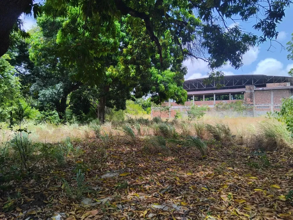 Terreno, 4 hectares - Foto 10