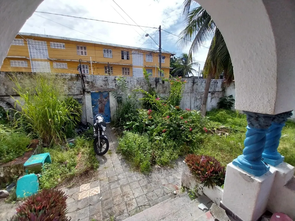 Casa, 7 quartos, 256 m² - Foto 5