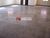 Prédio Inteiro, 600 m² - Foto 2