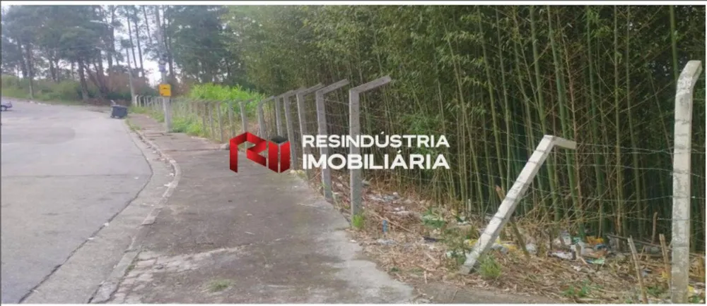 Terreno, 1 hectares - Foto 12