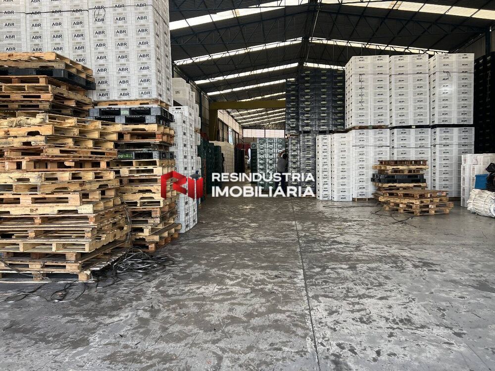 Depósito-Galpão, 1850 m² - Foto 2