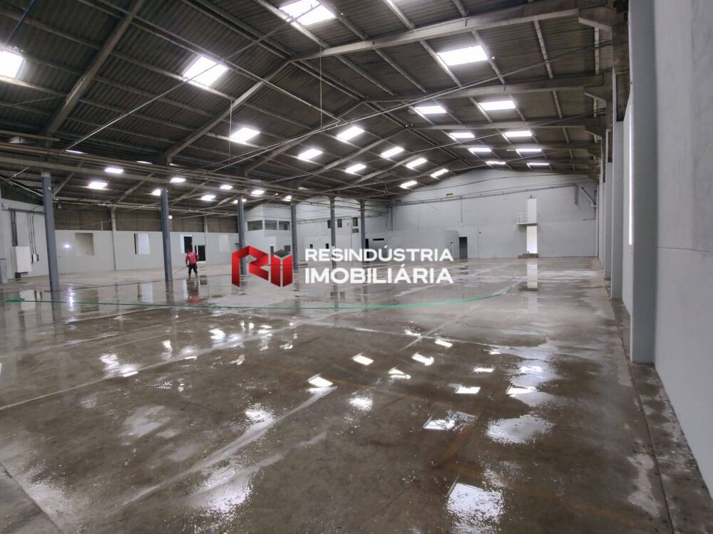Depósito-Galpão, 3721 m² - Foto 4