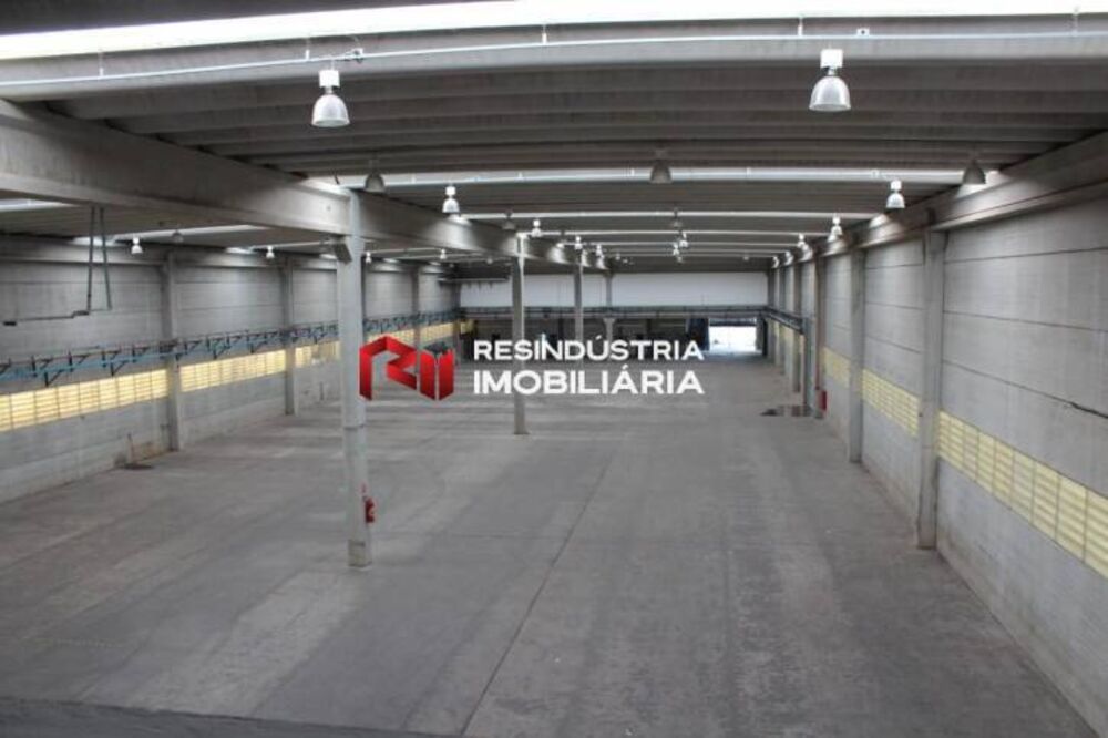 Depósito-Galpão, 4971 m² - Foto 10