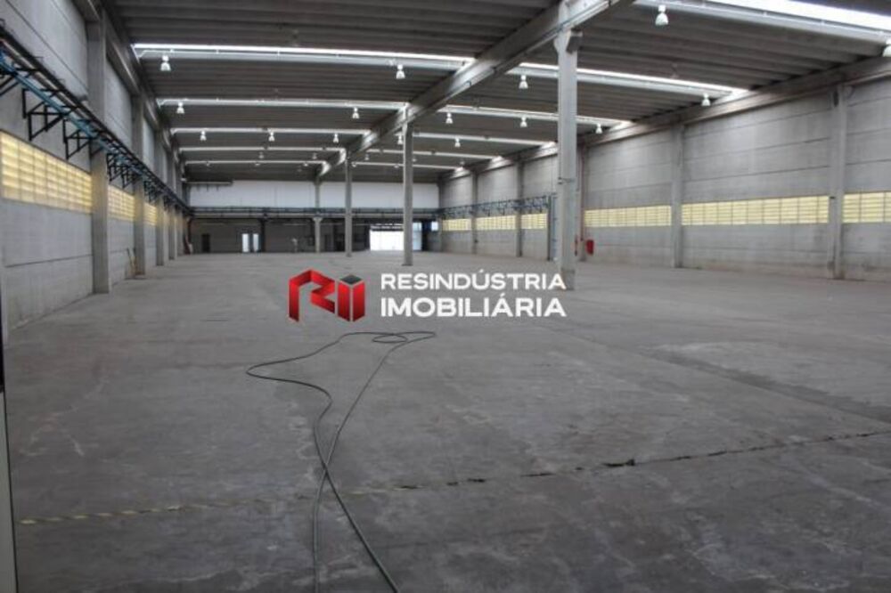 Depósito-Galpão, 4971 m² - Foto 11