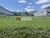 Terreno, 4321 m² - Foto 3