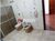 Casa, 4 quartos, 484 m² - Foto 1