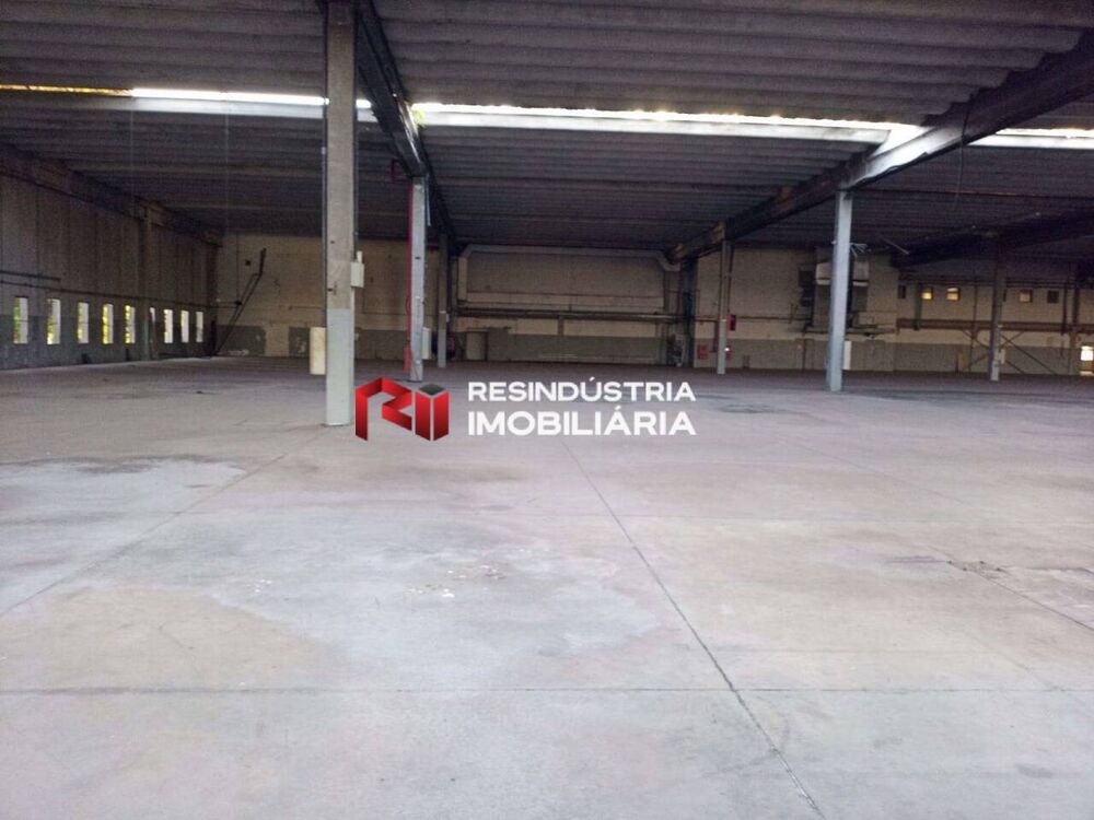 Depósito-Galpão, 10464 m² - Foto 9