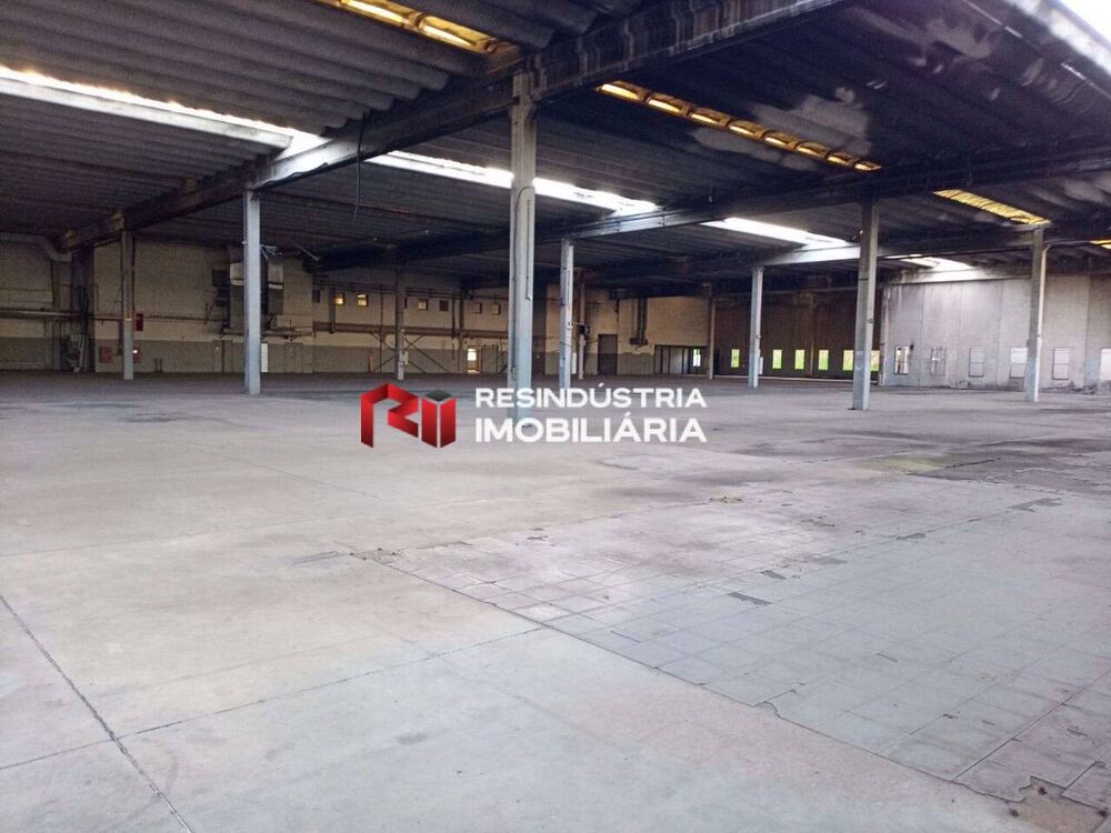 Depósito-Galpão, 10464 m² - Foto 5