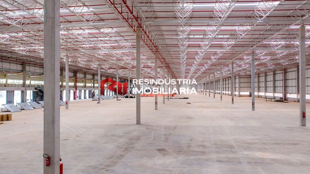 Depósito-Galpão, 2022 m² - Foto 4