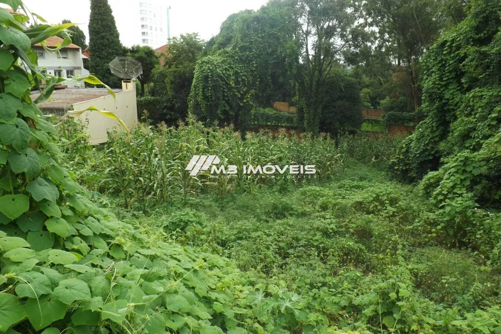 Terreno, 1136 m² - Foto 4