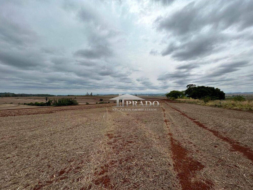 Terreno, 10 hectares - Foto 11