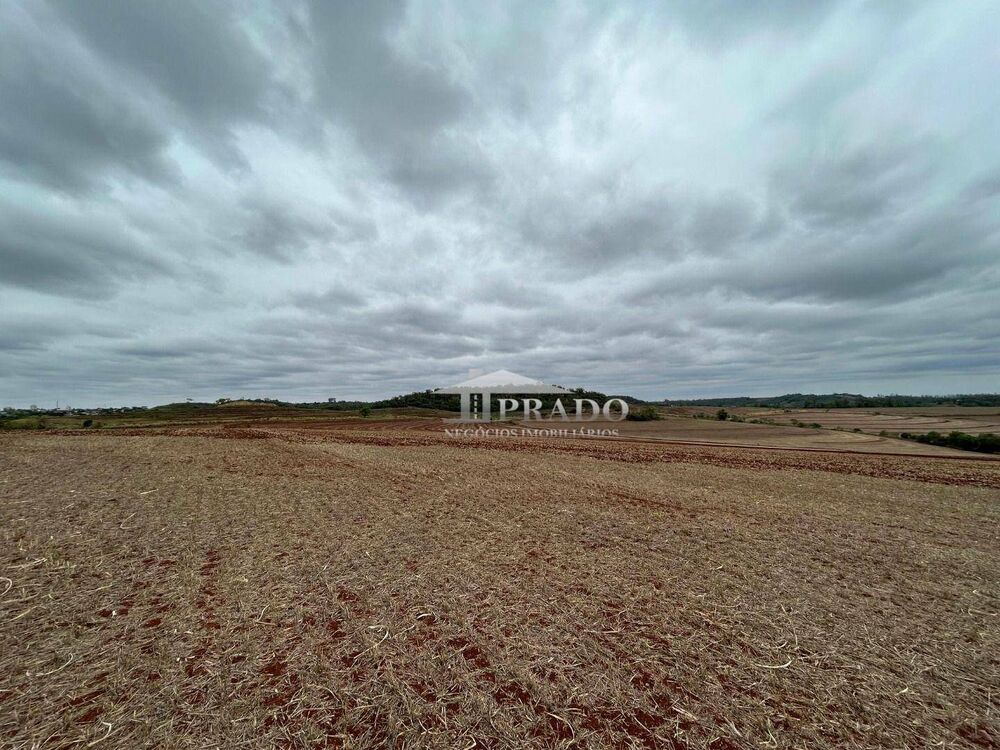 Terreno, 10 hectares - Foto 9