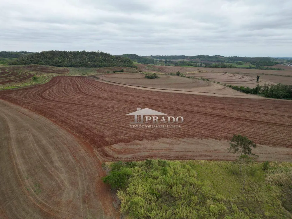 Terreno, 10 hectares - Foto 4