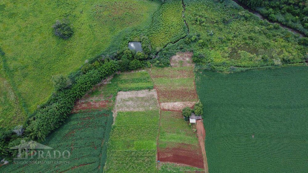 Chácara, 2 quartos, 5 hectares - Foto 1