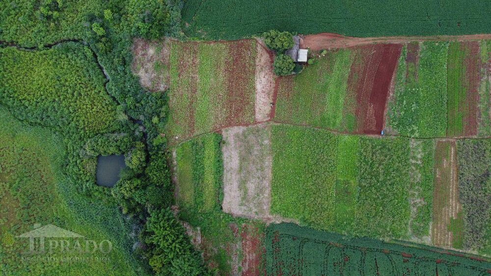 Chácara, 2 quartos, 5 hectares - Foto 4