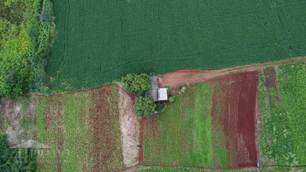 Chácara, 2 quartos, 5 hectares - Foto 7