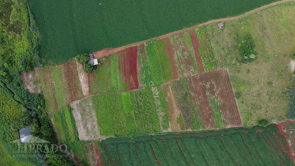 Chácara, 2 quartos, 5 hectares - Foto 4