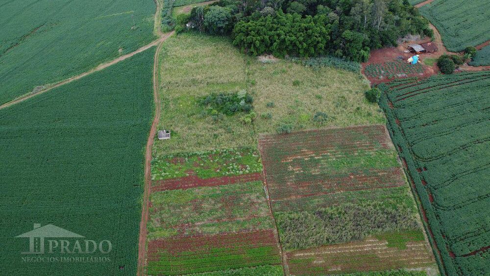Chácara, 2 quartos, 5 hectares - Foto 7