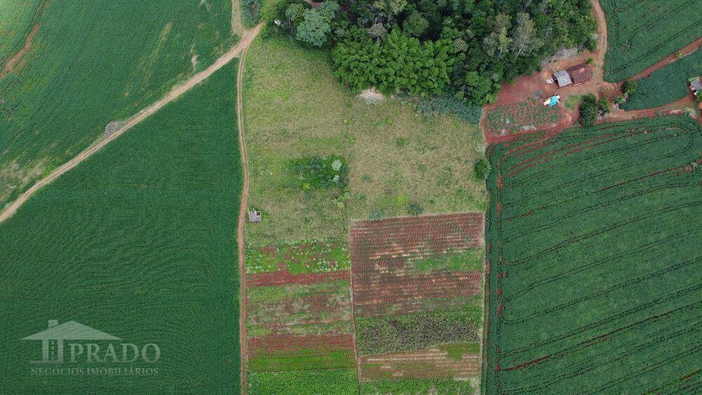 Chácara, 2 quartos, 5 hectares - Foto 2