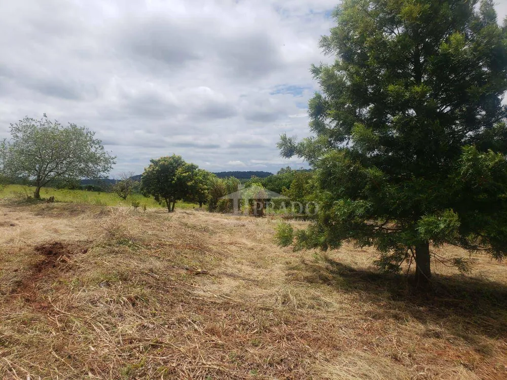 Chácara, 2 hectares - Foto 12