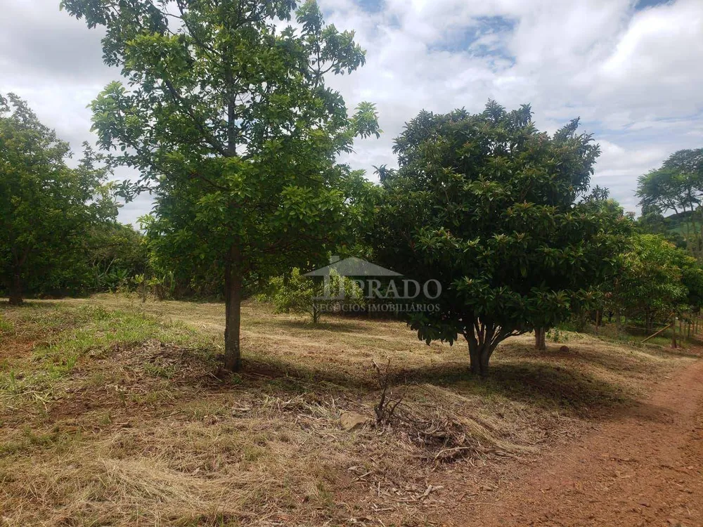 Chácara, 2 hectares - Foto 11