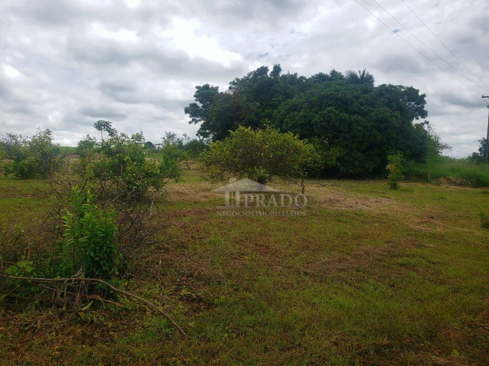Chácara, 2 hectares - Foto 7