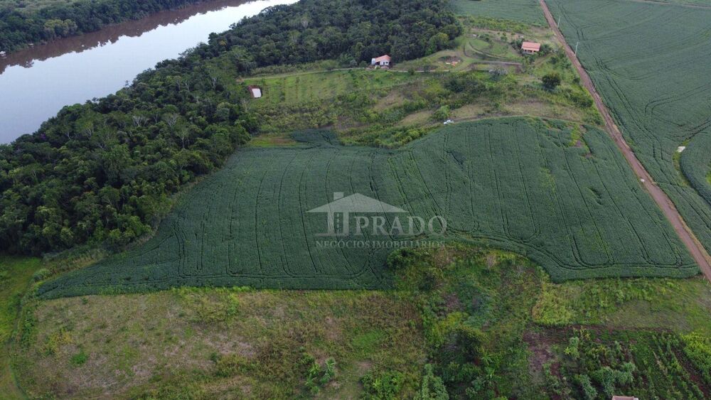 Terreno, 4 hectares - Foto 6