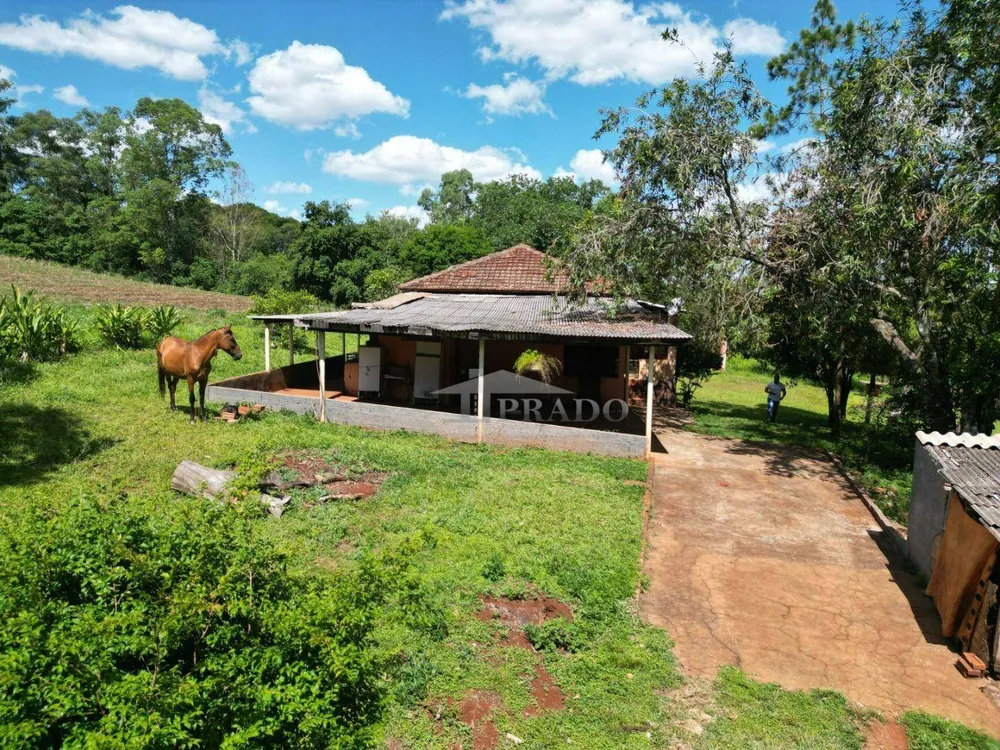 Sítio, 4 quartos, 7 hectares - Foto 8