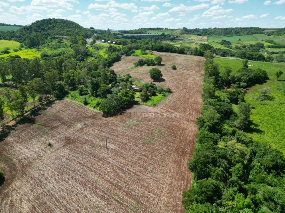 Sítio, 4 quartos, 7 hectares - Foto 11