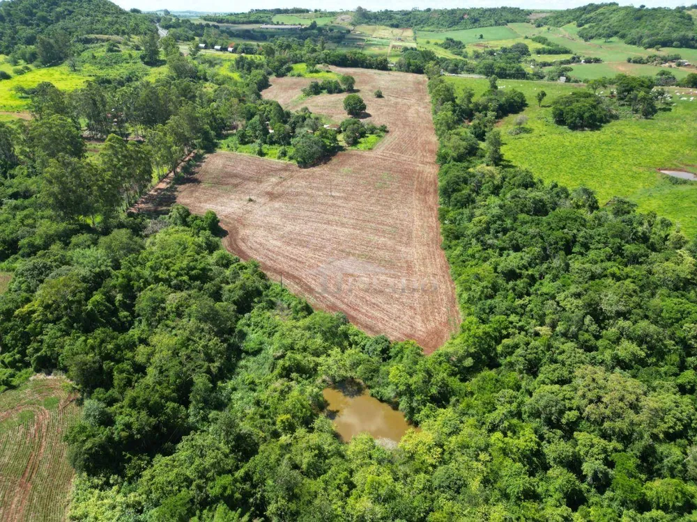 Sítio, 4 quartos, 7 hectares - Foto 10
