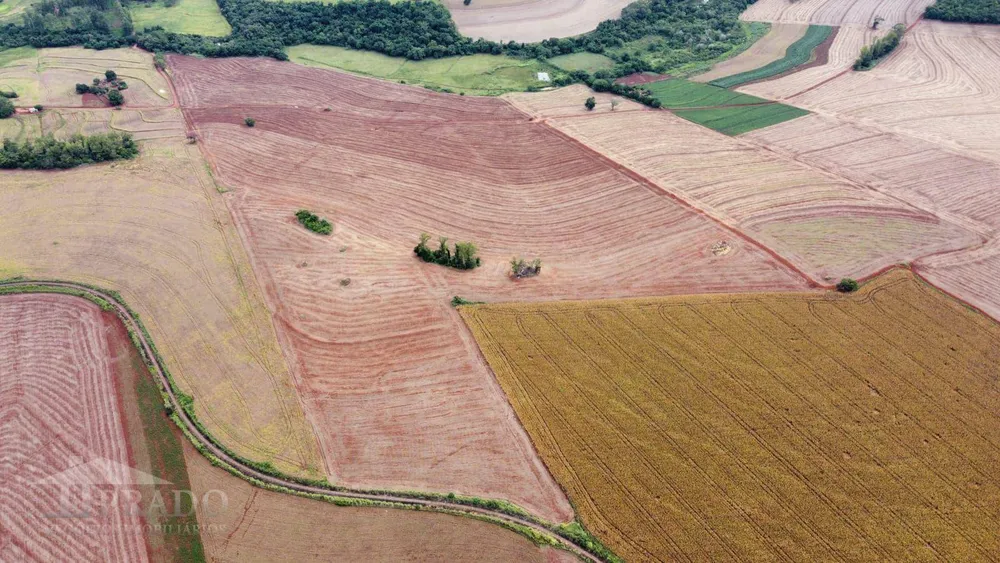 Sítio, 16 hectares - Foto 4