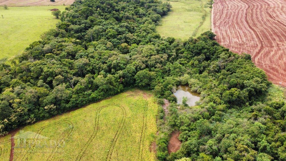 Sítio, 16 hectares - Foto 3