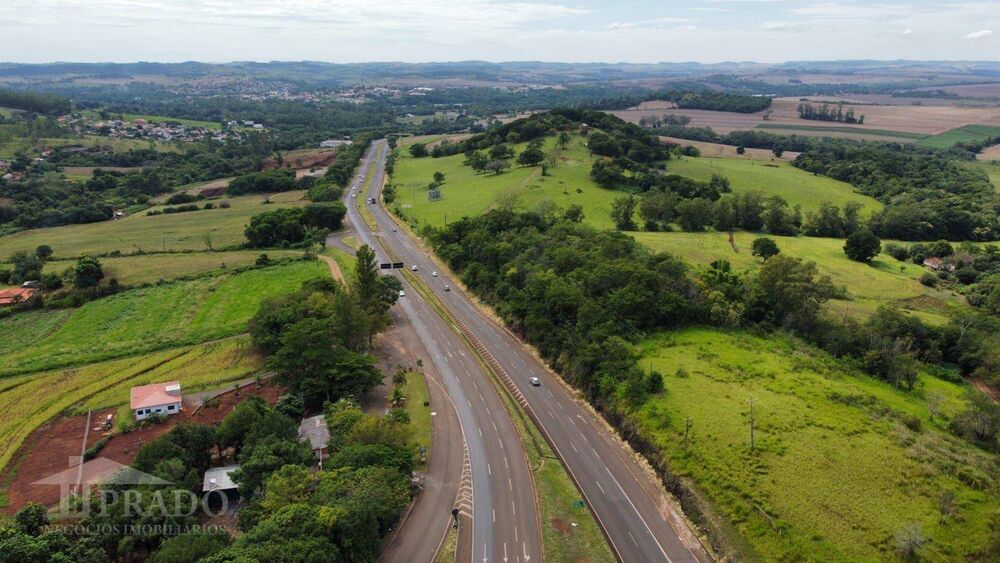 Sítio, 16 hectares - Foto 4