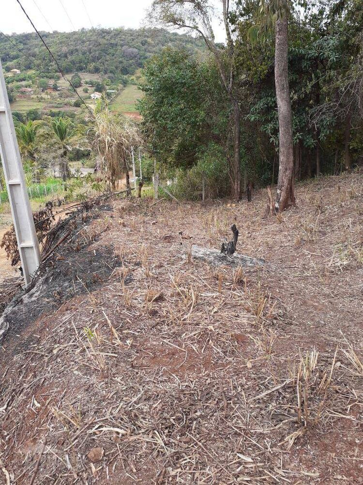 Chácara, 3000 m² - Foto 2