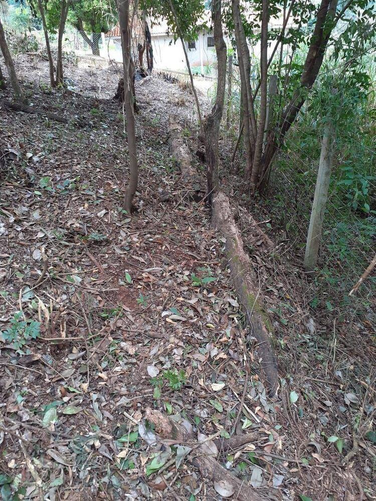 Chácara, 3000 m² - Foto 4