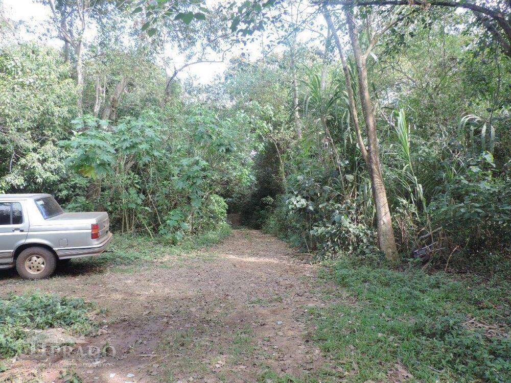 Terreno, 2 hectares - Foto 9
