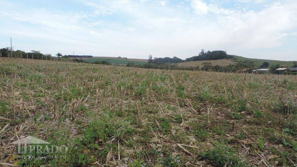 Terreno, 2 hectares - Foto 8
