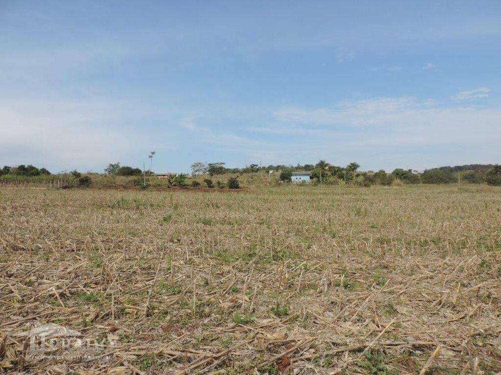 Terreno, 2 hectares - Foto 3